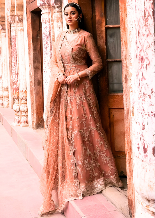 Embroidered Silk Net Stiched