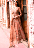 Embroidered Silk Net Stiched